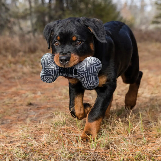 Maxx Bone